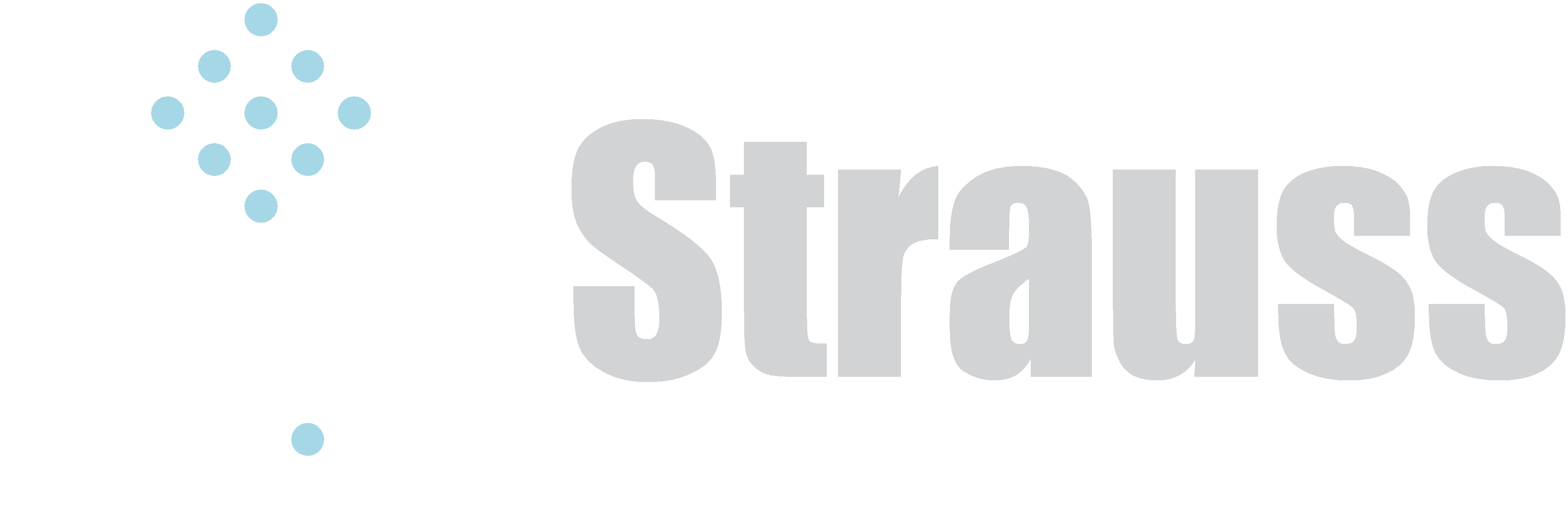 Strauss Architectural Systems